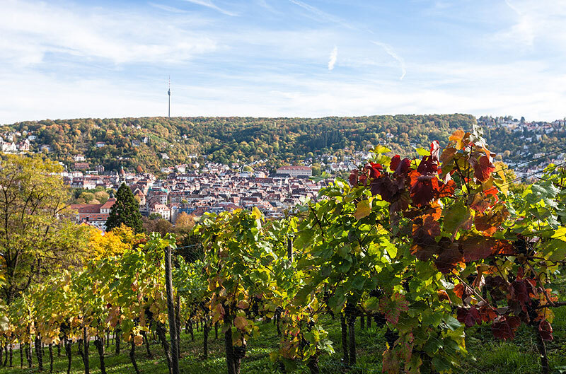Blick auf Teile von Stuttgart-Süd von der Karlshöhe aus. Foto: dieargelola/Stadt Stuttgart