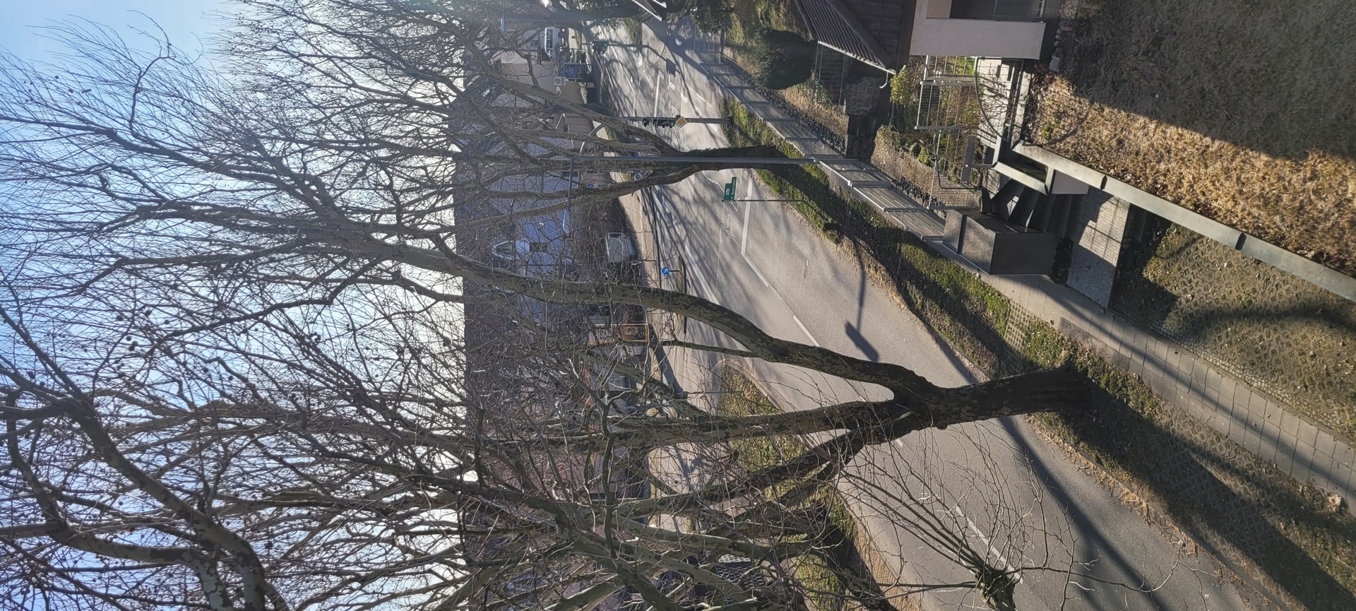 Kreuzung_Korntalerstr_Marco_Polo-Weg (2).jpg