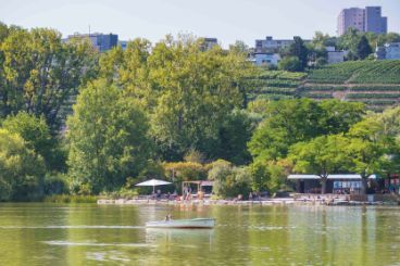 Die Wasserqualität im Max-Eyth-See soll verbessert werden. Dazu wird unbelastetes Wasser eingeleitet. Foto: Thomas Wagner