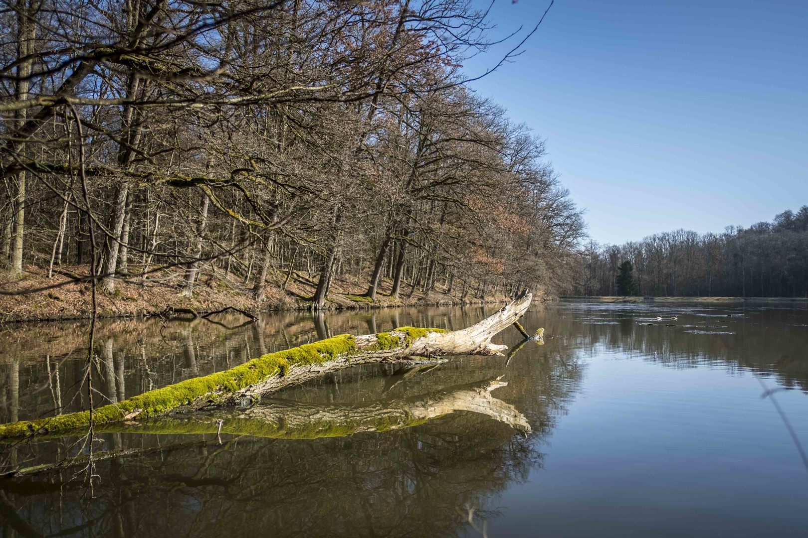 Der Katzenbachsee diente früher der Trinkwasserversorgung. Heute ist er ein beliebtes Ausflugsziel. Foto: Thomas Wagner