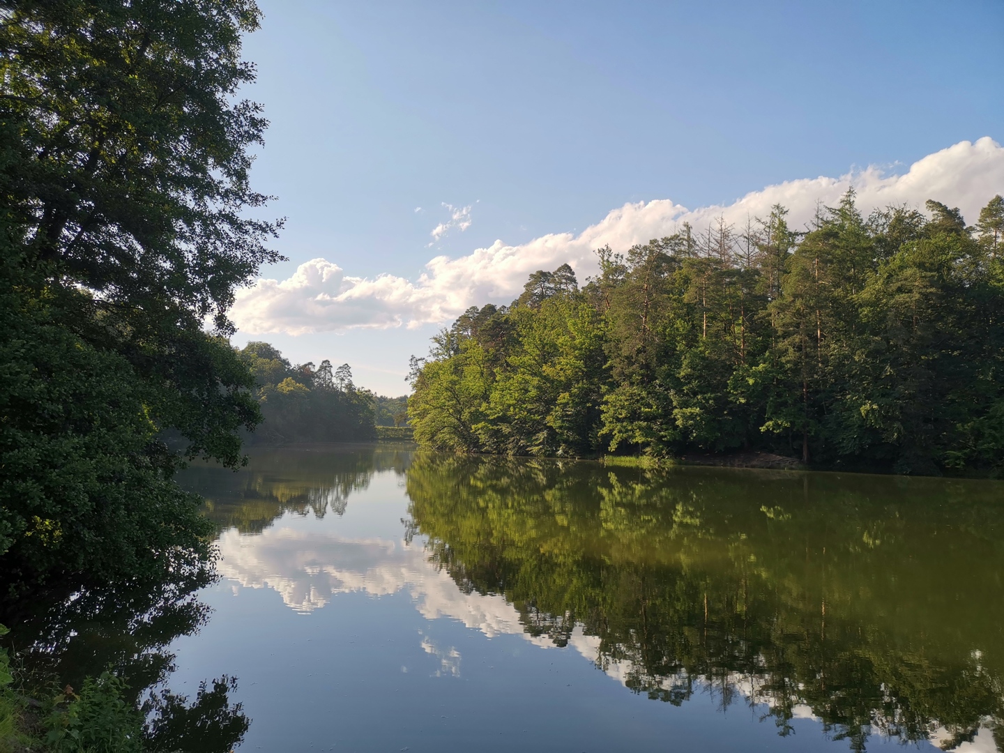 Auf 5.000 Hektar bietet der Stadtwald Stuttgart viel Raum als Naherholungsfl&auml;che, um sich in der Natur zu erholen und zu entspannen. Foto: Gabriel Vocasek/Stadt Stuttgart